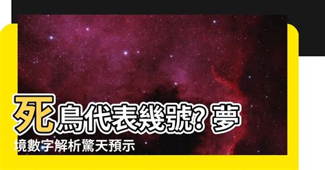 死鳥代表幾號|【死鳥代表幾號】婚禮遇上死鳥！數字解析揭露這禁忌徵兆